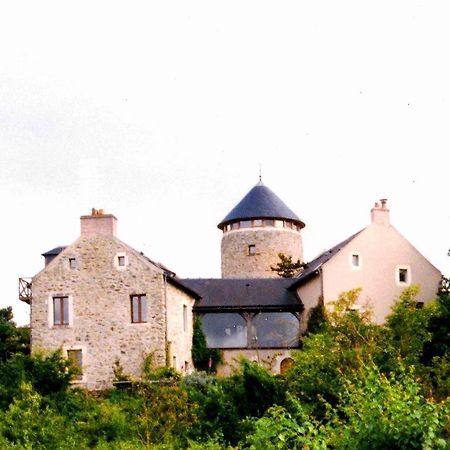 Au Moulin Geant Bed & Breakfast Rochefort-sur-Loire Екстериор снимка