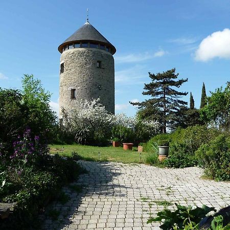 Au Moulin Geant Bed & Breakfast Rochefort-sur-Loire Екстериор снимка