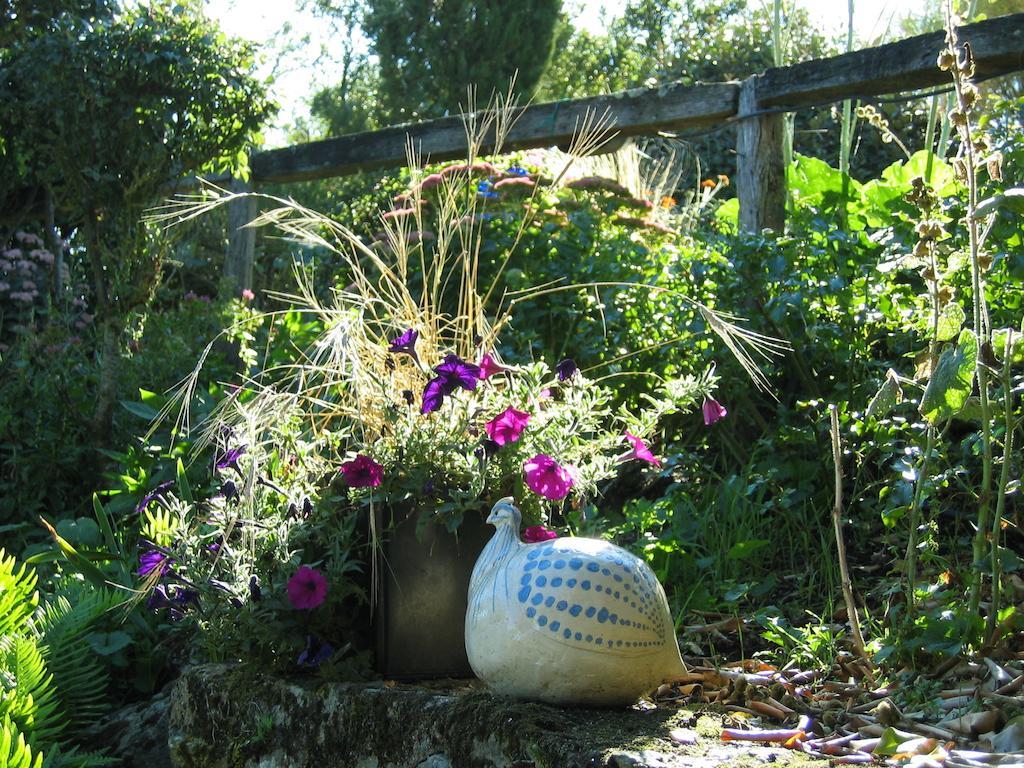 Au Moulin Geant Bed & Breakfast Rochefort-sur-Loire Екстериор снимка