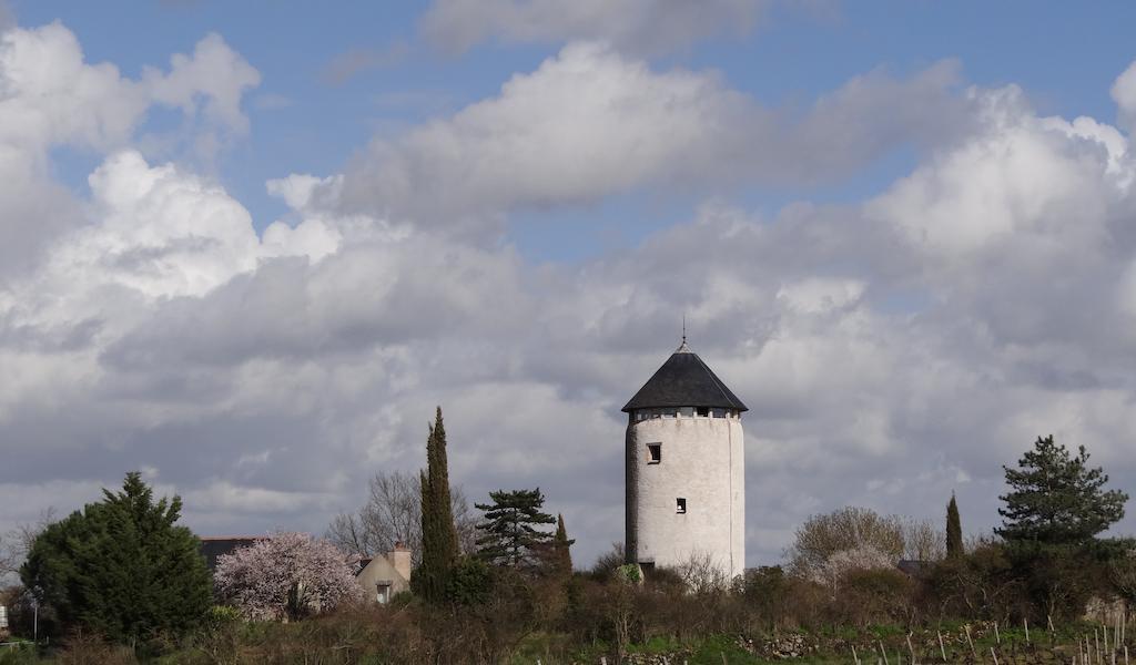 Au Moulin Geant Bed & Breakfast Rochefort-sur-Loire Екстериор снимка