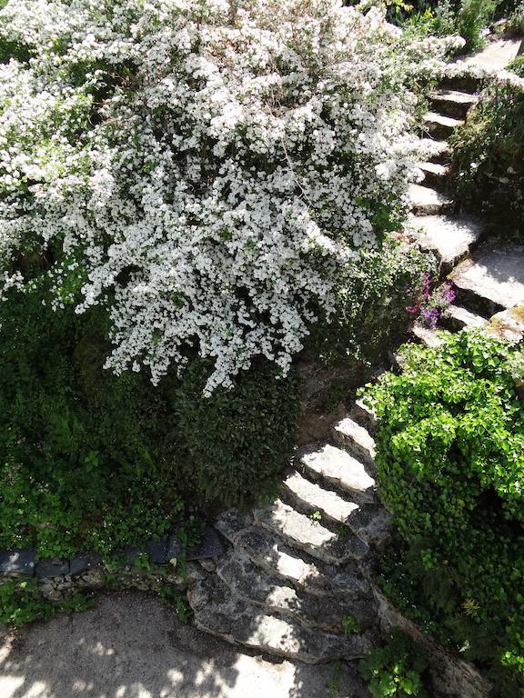 Au Moulin Geant Bed & Breakfast Rochefort-sur-Loire Екстериор снимка