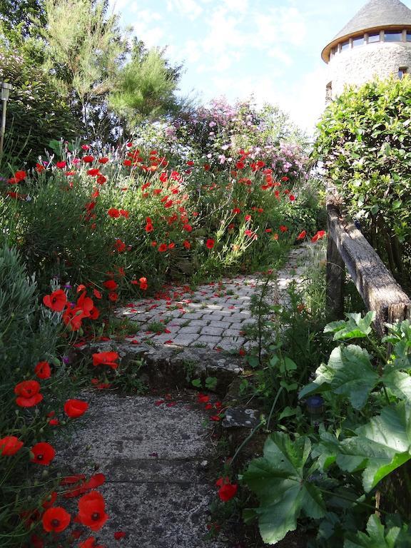 Au Moulin Geant Bed & Breakfast Rochefort-sur-Loire Екстериор снимка