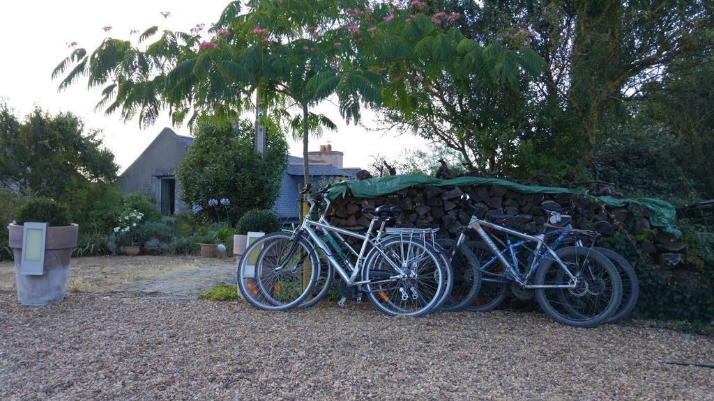 Au Moulin Geant Bed & Breakfast Rochefort-sur-Loire Екстериор снимка